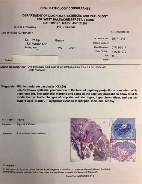 Pathology report - yellowtews