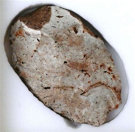 350,000-year-old palaeolithic hand axe discovered in Lindsey Road garden shines light on human ...