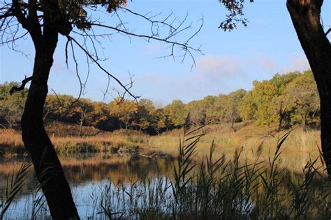 Hiking Indiana Dunes National Park | The Local Tourist