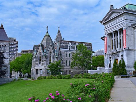 Best Mcgill University Stock Photos, Pictures & Royalty-Free Images ...