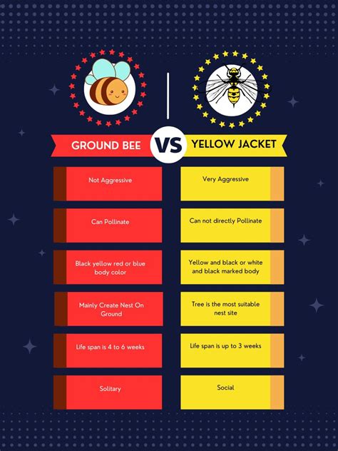 Revealing The Conflict: Ground Bees vs Yellow Jackets - BeekeepingStudy