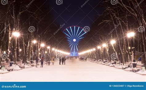 Evening in Kharkiv Winter Park and Street Lamp. Christmas City Lights Editorial Photography ...