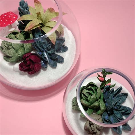 Succulents in Glass Fish Bowl | Glass fish bowl, Paper succulent, Flower gift ideas