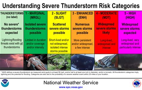 Understanding the Severe Risk Categories