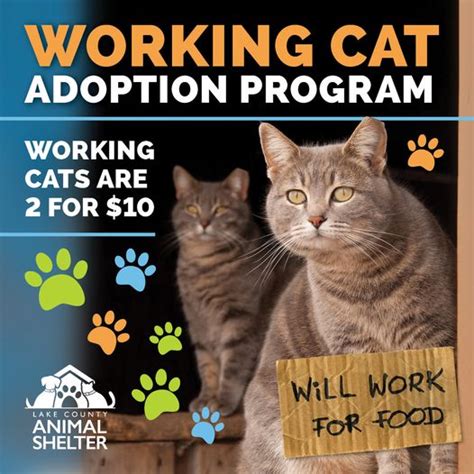 Working Cat Adoption Program | Working cats are 2 for $10