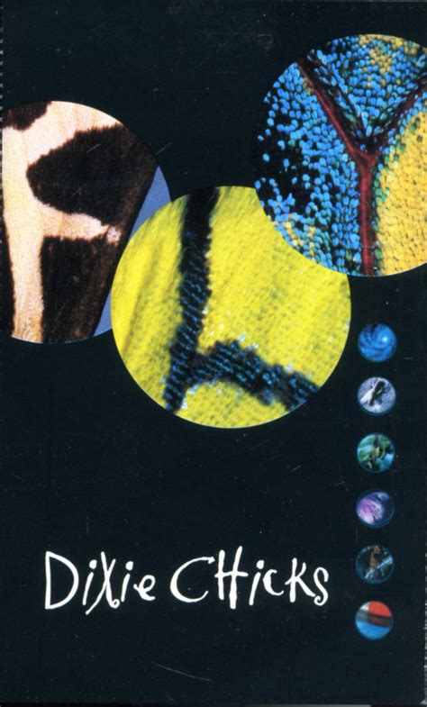 Dixie Chicks - Fly (1999, Cassette) | Discogs