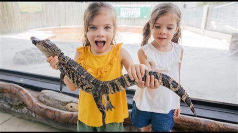 Sei ruhig Dosis Verwechseln alligators in key west Mit freundlichen ...