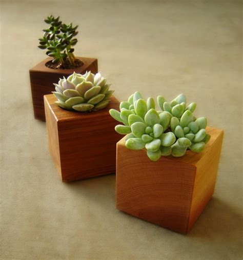 16 Minimalistic Handmade Wooden Planter Designs