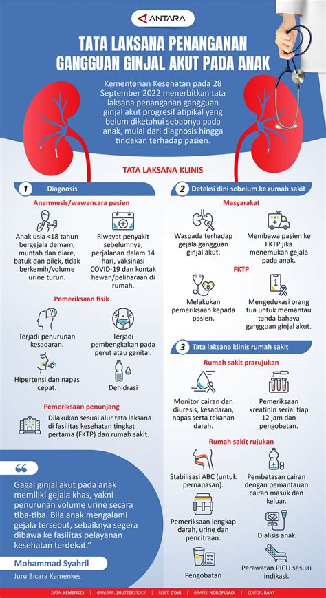 Tata laksana penanganan gangguan ginjal akut pada anak - ANTARA News