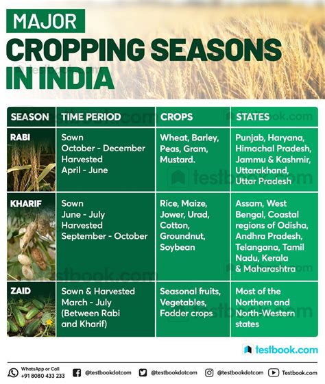 3 Major Cropping Seasons in India - Kharif, Rabi & Zaid|In Detail