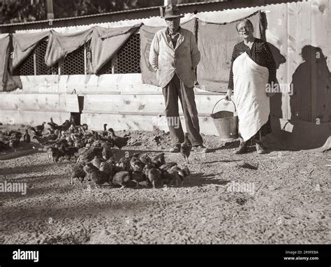 Photographer Dorothea Lange photographs America during and after the ...