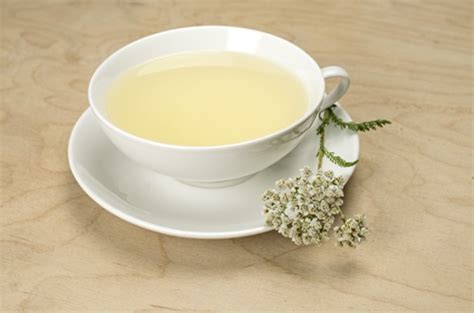 Buy Yarrow Tea: Benefits, How to Make, Side Effects