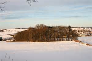 Blankets Wood © Andrew Wood cc-by-sa/2.0 :: Geograph Britain and Ireland