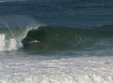 Oregon Region - Surfrider Foundation