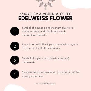 Edelweiss Flower: Symbolism, Meanings, and History - Symbol Genie