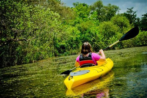 Kayaking on Broad River with Wine Tasting 2024 - Atlanta