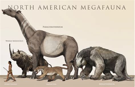 Megafauna of the Pleistocene: A Size Comparison