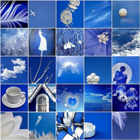 This would be a fun Photography assignment. | Blue and white, Photo ...