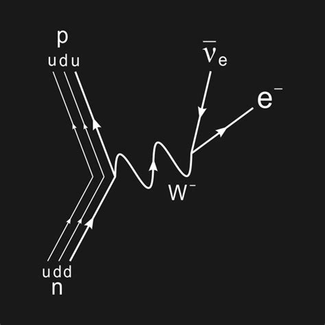 Feynman diagram, beta decay dark version - Quantum Physics - Kids T ...