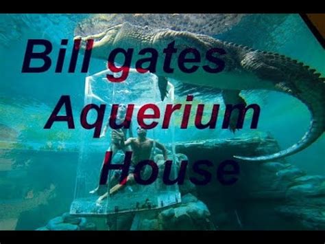 Bill Gates House Aquarium