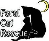 FERAL CAT RESCUE PET ADOPTION - St. Mary's County - Southern Maryland