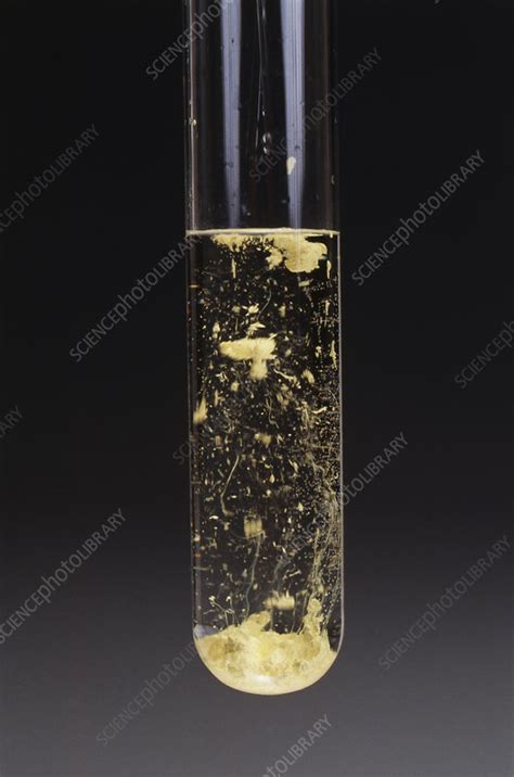 Silver Iodide Precipitate - Stock Image - C027/7919 - Science Photo Library