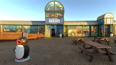 Hunstanton Sea Life centre installs seal pup recovery pool - BBC News