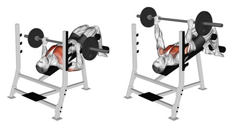 Barbell Decline Bench Press: Benefits, Muscles Worked, and More ...