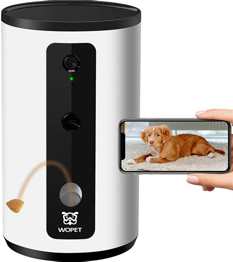 7 pet cameras to have an extra eye on your animal friend when you're ...