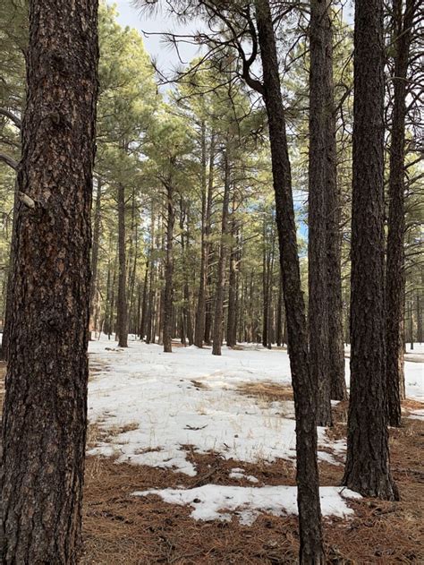 Flagstaff, Arizona : hiking