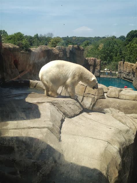 Pittsburgh Zoo!