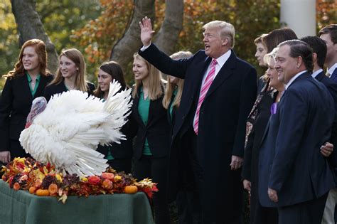 Trump pardons Thanksgiving turkey - CBS News