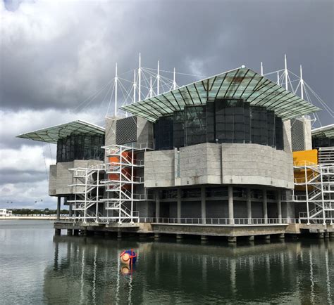 The Lisbon Oceanarium - ideal place for a rainy day