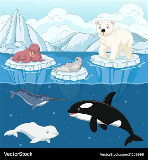 North Pole Animals