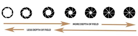 F stop Chart (Aperture Stop Chart) Explained - PhotographyAxis