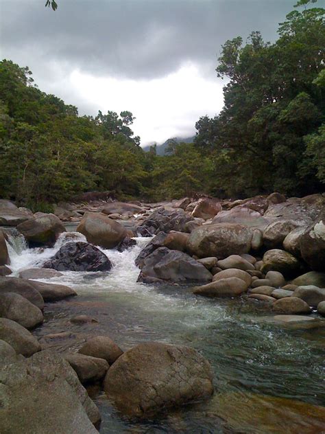 Mossman Gorge, Daintree | Holiday places, Austrailia, Australia