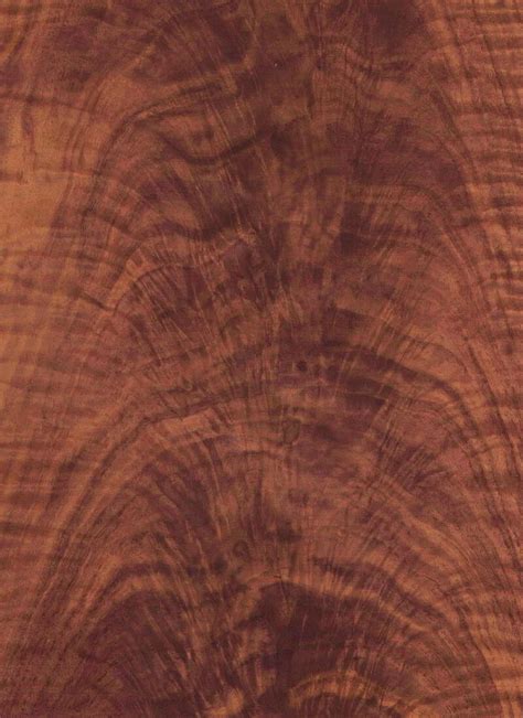 Claro Walnut Crotch Veneer | M. Bohlke Corp. | Veneer and Lumber