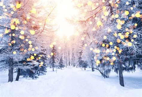 410+ Thousand Christmas Scene Outdoors Royalty-Free Images, Stock ...