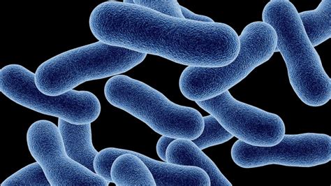 Legionnaires' disease | NanzeNafisaf