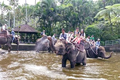 Elephant Ride Bali - Experience Bali with the Best Tour Packages from Local Experts