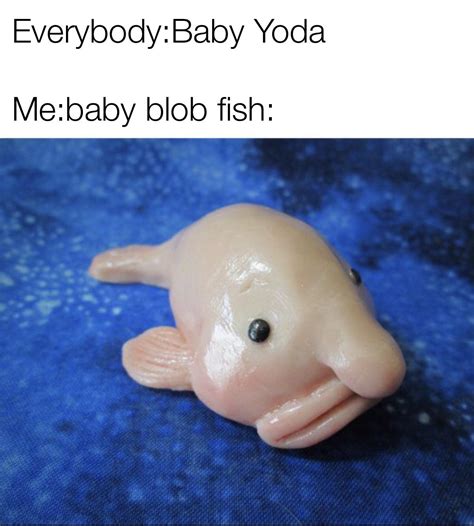 Blobfish Meme