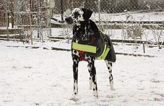 Angie im Winter-Outfit | Februar 2012 Canon EOS 40D EF-S 17-… | Flickr