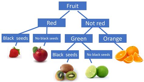 20 Exciting Middle School Activities Using Dichotomous Keys - Teaching ...