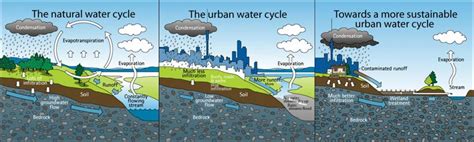 Human Activity - The Global Systems - The Hydrologic Cycle.