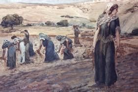 Ruth Gleaning Giclee Print by James Tissot | Art.com