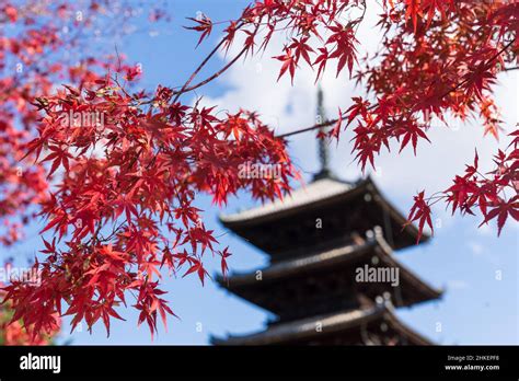 Pagoda in Kyoto, Japan Stock Photo - Alamy