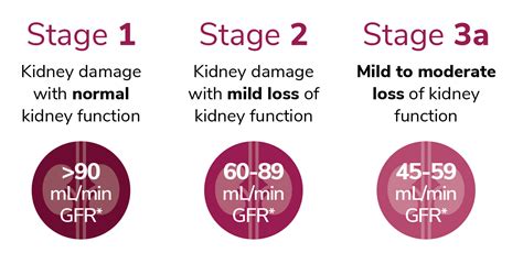 Understanding Kidney Disease - Akebia Therapeutics