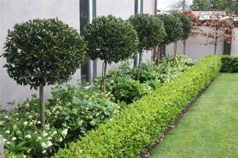 21 of The Best Landscape Hedge Ideas: #15 is Our Favorite! - The ...