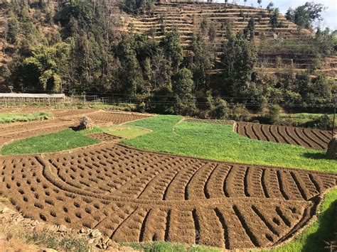 Back to the future of farming | Nepali Times