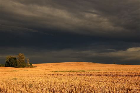 Field Lower Silesia Storm - Free photo on Pixabay - Pixabay